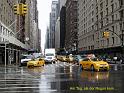 NY (145)